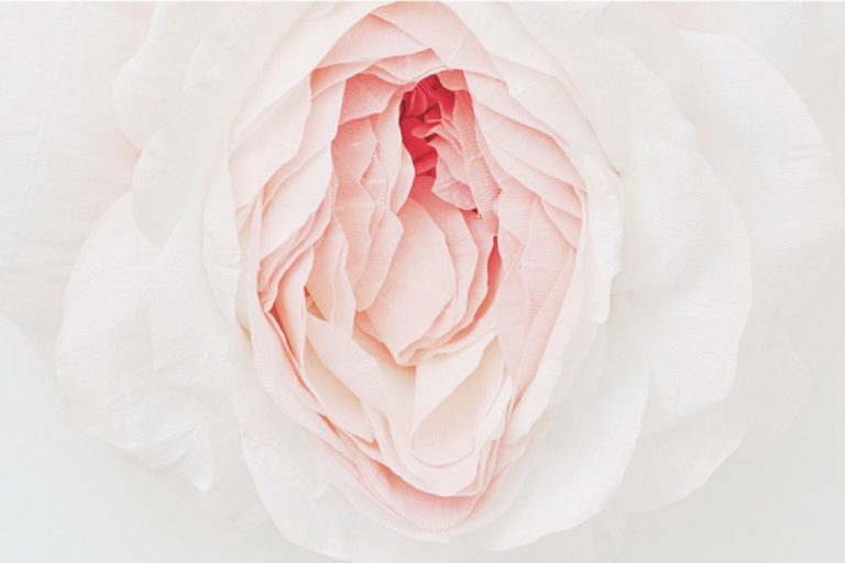 WOMEN'S HEALTH AT RUMA Medical